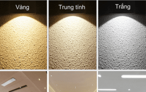 Thiết kế nội thất văn phòng