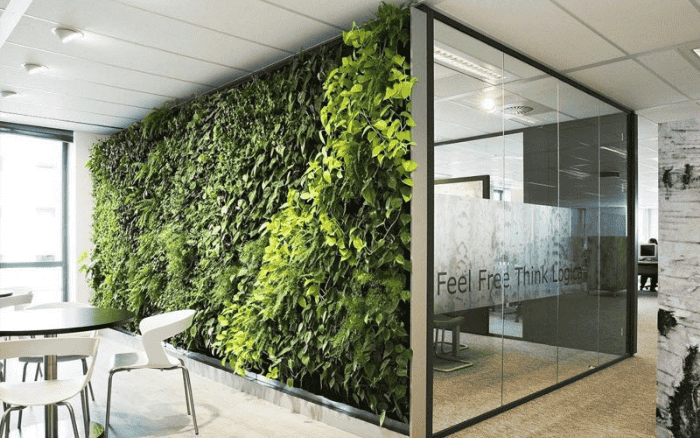 Thiết kế nội thất văn phòng đẹp