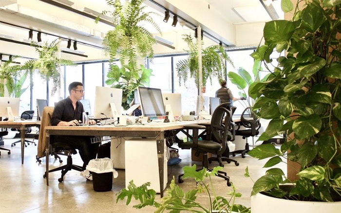 Thiết kế tòa nhà văn phòng