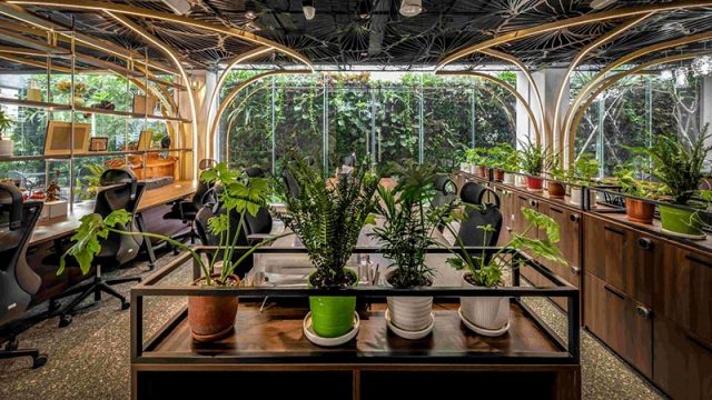 Thiết Kế Thi Công Nội Thất Văn Phòng Xanh Theo Chuẩn LEED