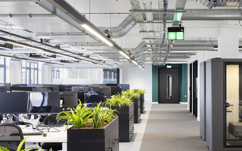 cho thuê tòa nhà văn phòng