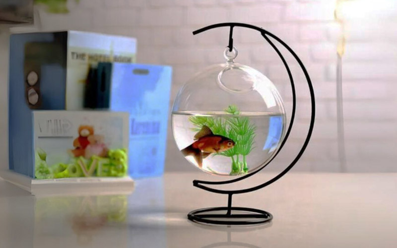 bể cá để bàn làm việc