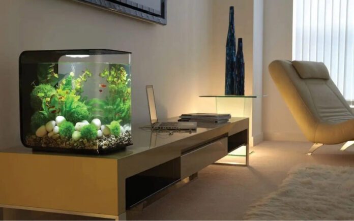 bể cá để bàn làm việc
