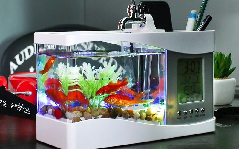 bể cá mini để bàn làm việc