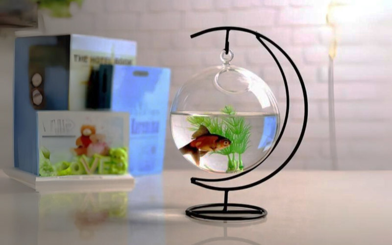 bể cá mini để bàn làm việc