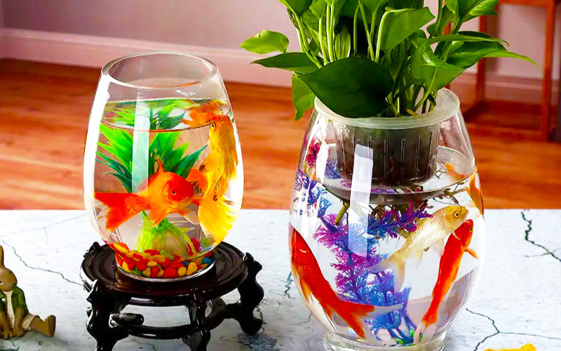 bể cá mini để bàn làm việc