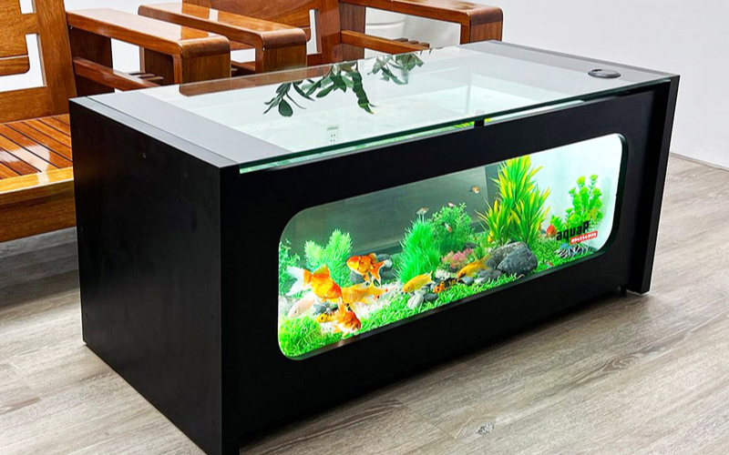 bể cá mini để bàn làm việc