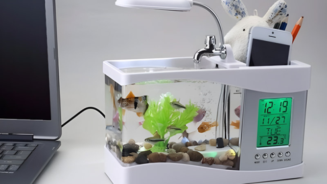 Cách Chọn Bể Cá Mini Để Bàn Làm Việc Hợp Phong Thủy Văn Phòng 2025
