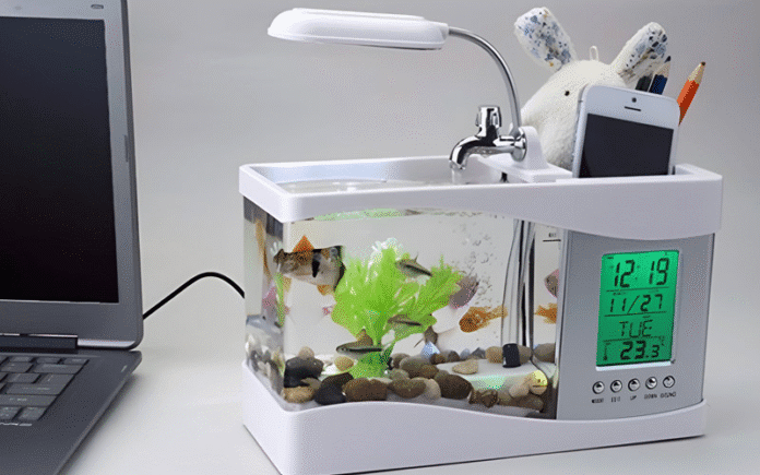 bể cá mini để bàn làm việc