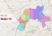 Cho Thuê Văn Phòng Quận 12 Ở Công Viên Phần Mềm Quang Trung cho thuê văn phòng quận 12