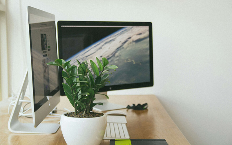 đồ phong thủy để bàn làm việc