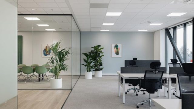 Mô Hình Văn Phòng Cho Startup: Hiệu Quả, Tiết Kiệm, Linh Hoạt!