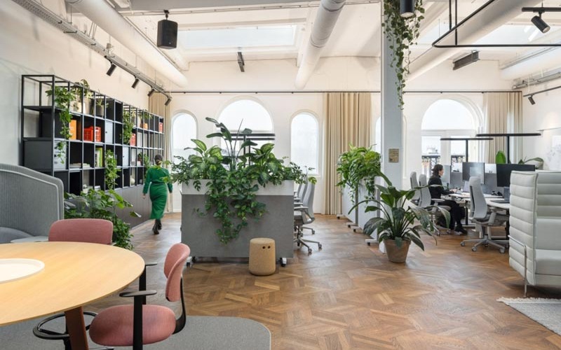 văn phòng cho startup